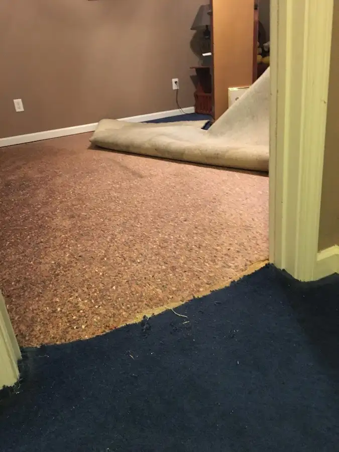 Carpet pad removal revealing water damage during Drying & Dehumidification in Plainfield